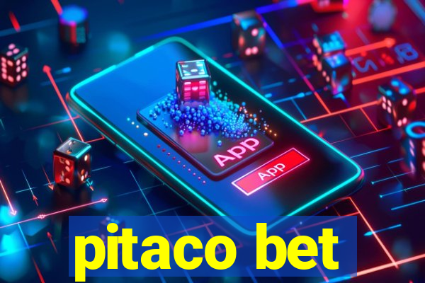 pitaco bet