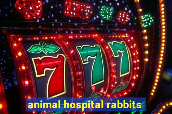 animal hospital rabbits