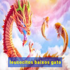 leucocitos baixos gato