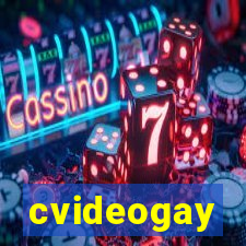 cvideogay