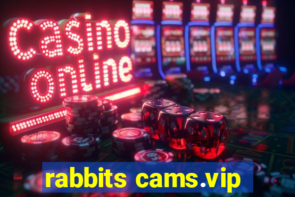 rabbits cams.vip