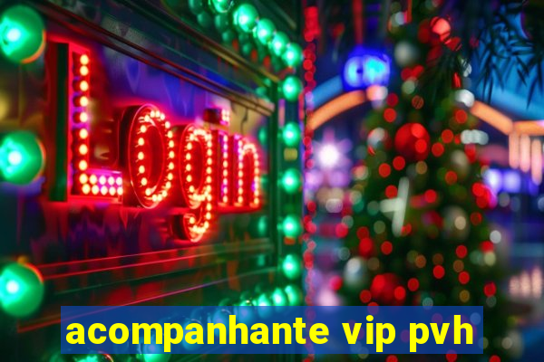 acompanhante vip pvh