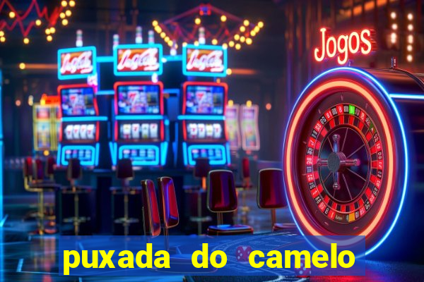 puxada do camelo jogo do bicho