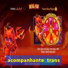 acompanhante trans de santos