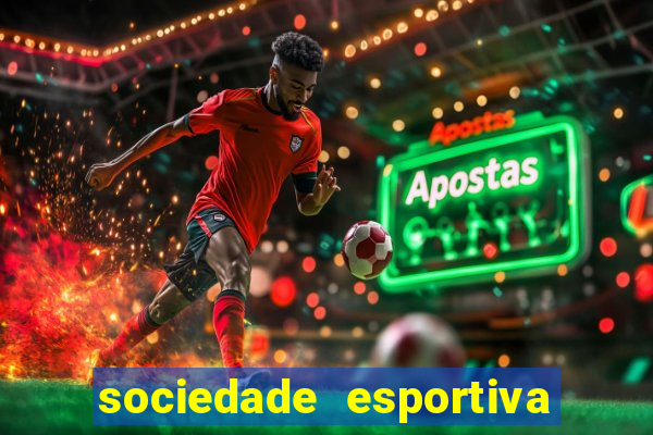 sociedade esportiva palmeiras x botafogo futemax